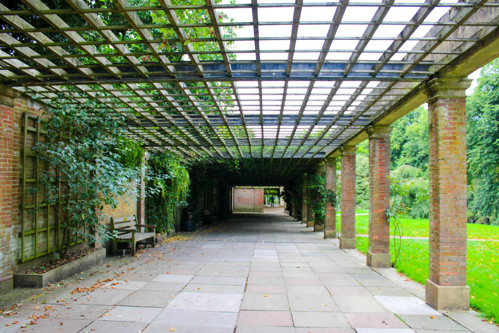 a walkway lined with trees and benches under a pergolated roof